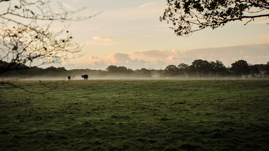 Green Farm: Day Spa, Retreats & Self Catering Barn venue