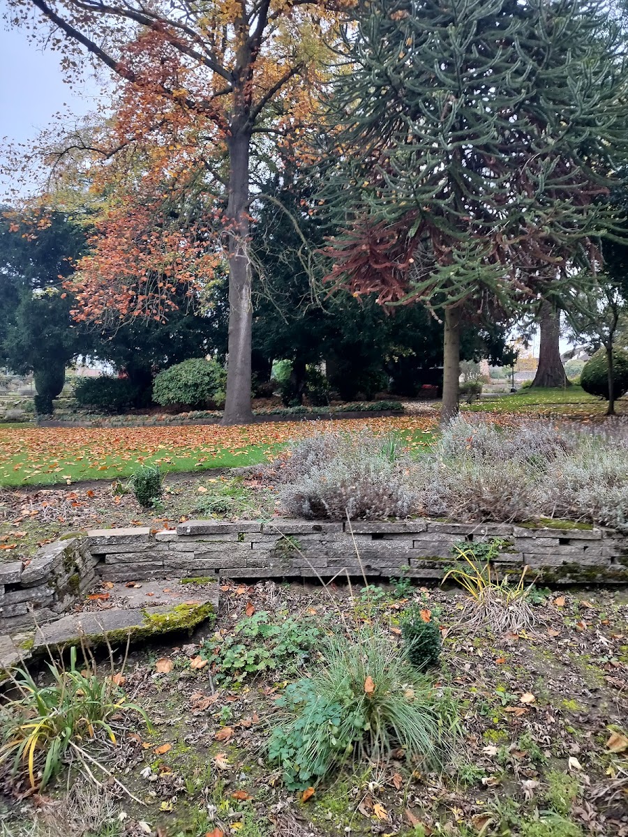 Natural Balance Holistics venue